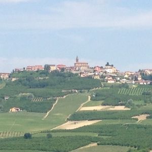 Meet your Posher, Ben